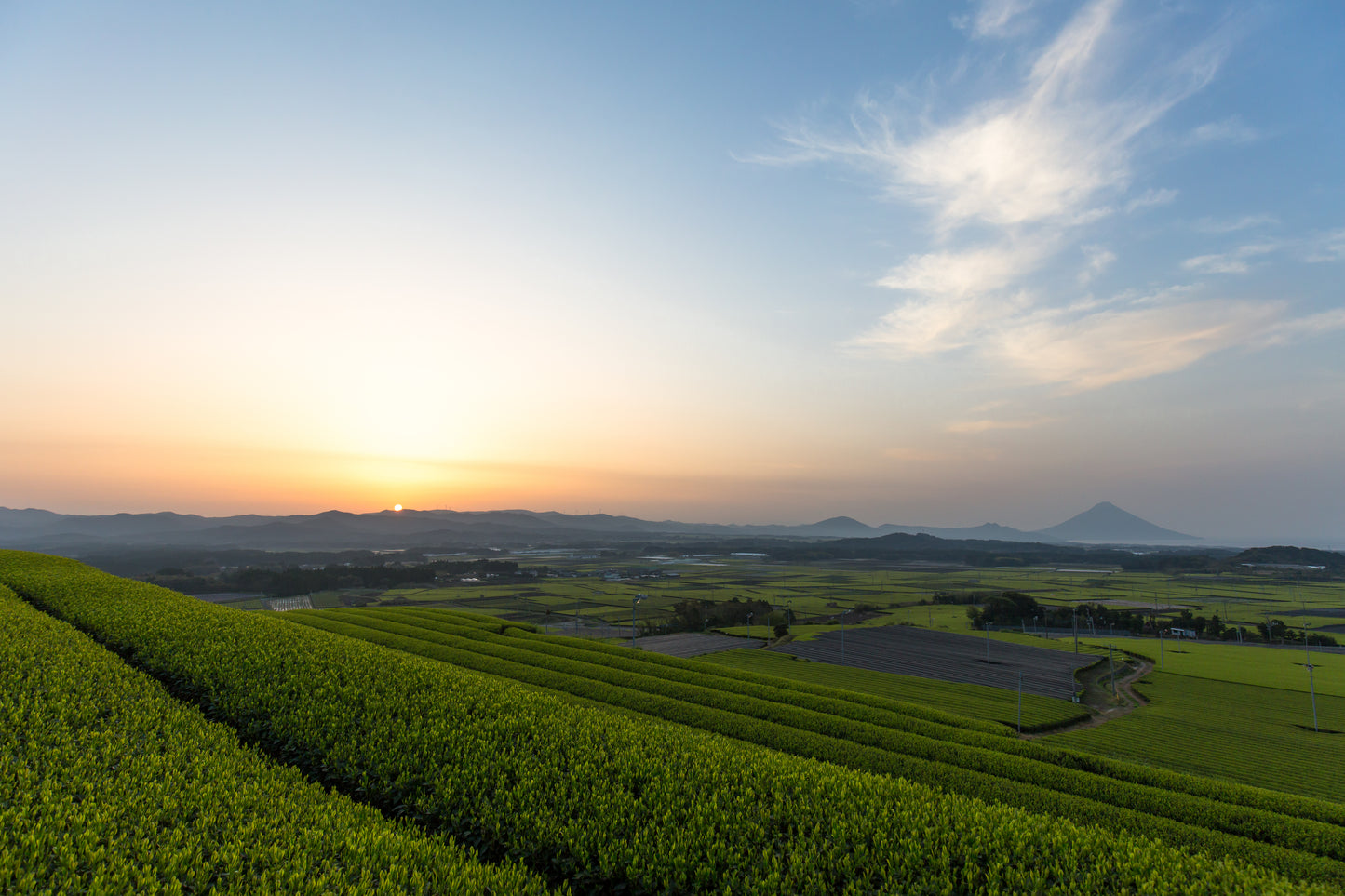 AUCTaS Matcha Latte Cooking Kit